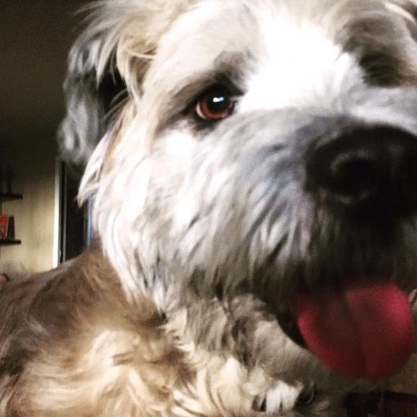 /Images/uploads/Humane Society of Utah/HSUCalendar/entries/1625thumb.jpg